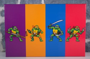 Teenage Mutant Ninja Turtles - Shredder's Revenge (05)